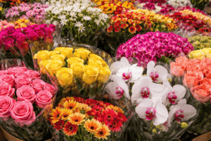 Importar flores a España desde Colombia