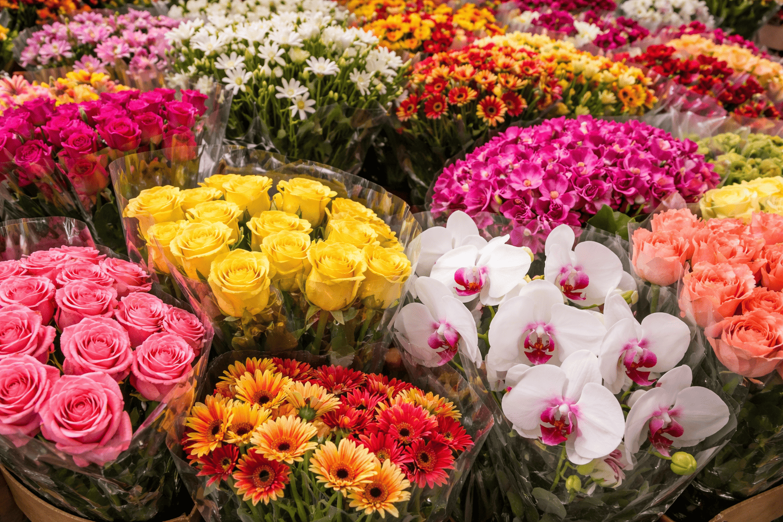Importar flores a España desde Colombia