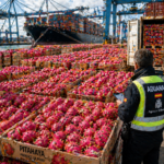 Importación de pitahaya en España con control aduanero en puerto marítimo